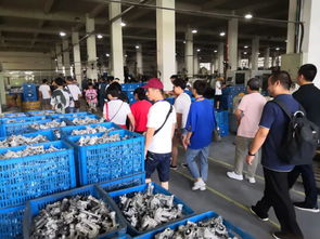 熱烈歡迎玉立金華團隊蒞臨工廠參觀與技術交流